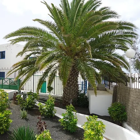 Cactus Puerto del Carmen (Lanzarote)